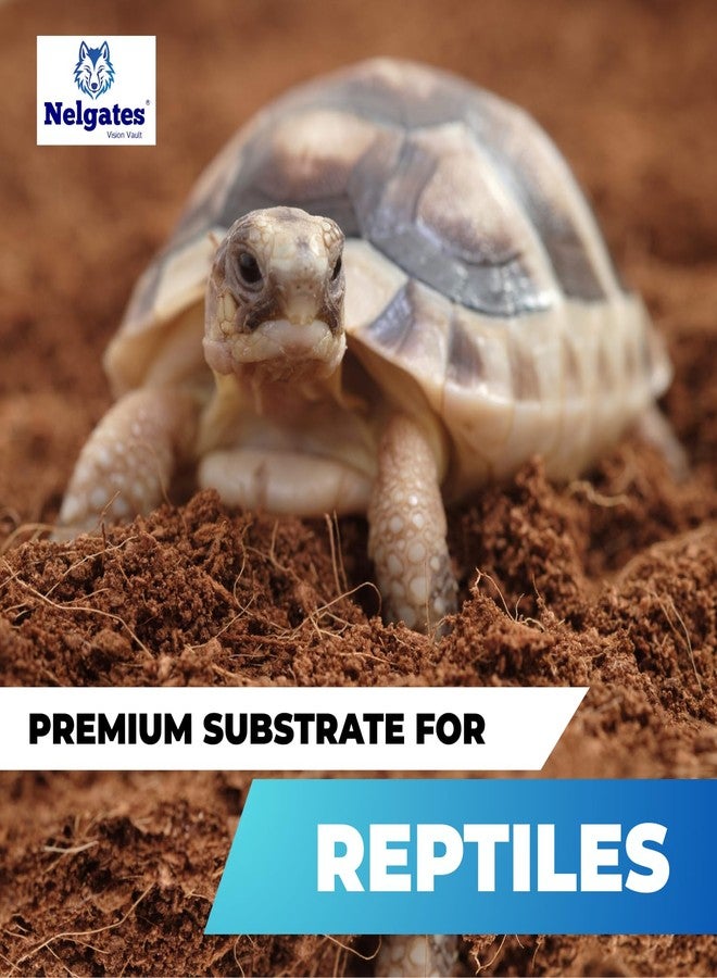 Nelgates Coco peat for Animal Bedding | Reptiles Small Animals Tortoise Python Frog Snake Chicken Rabbit Birds | pet Products pet Supply Indoor & Outdoor (5kg) - Image 3